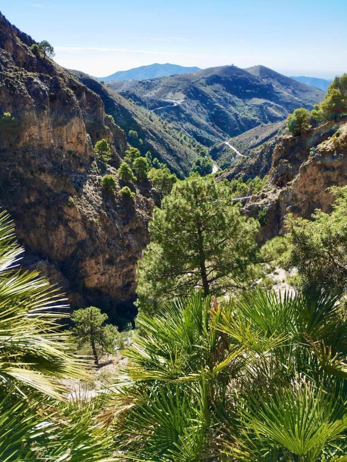 Casa Jardin Natural Sedella Eksteriør billede