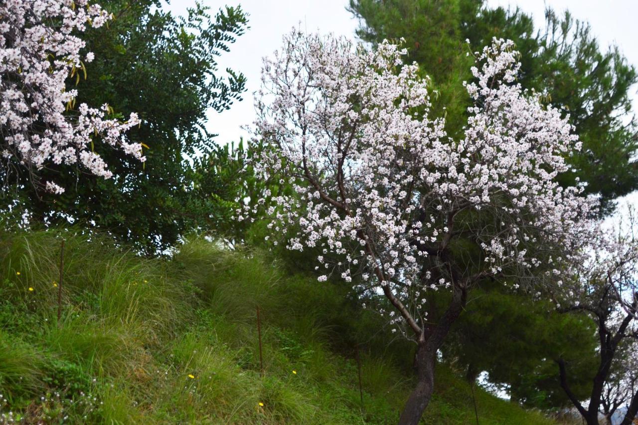 Casa Jardin Natural Sedella Eksteriør billede