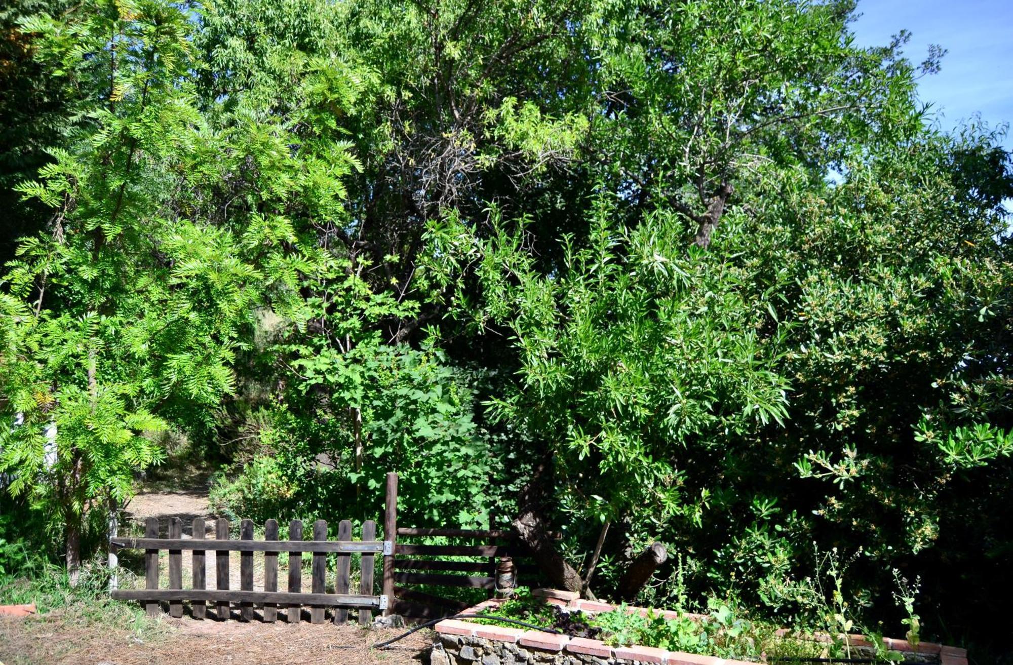 Casa Jardin Natural Sedella Eksteriør billede